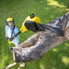 Lawn Watering Services in Fort Rucker, AL